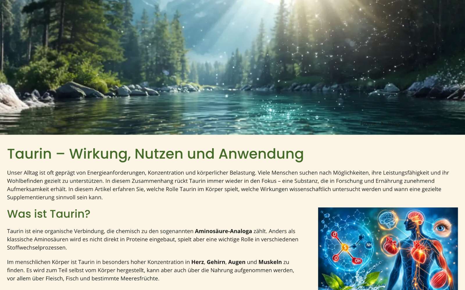 heilnatura.de Blogeintrag
